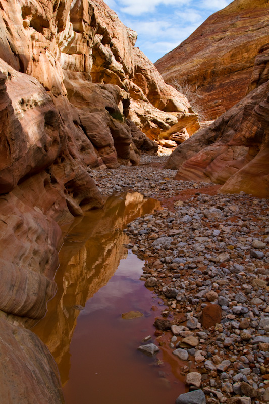 Rainwater In Gulley